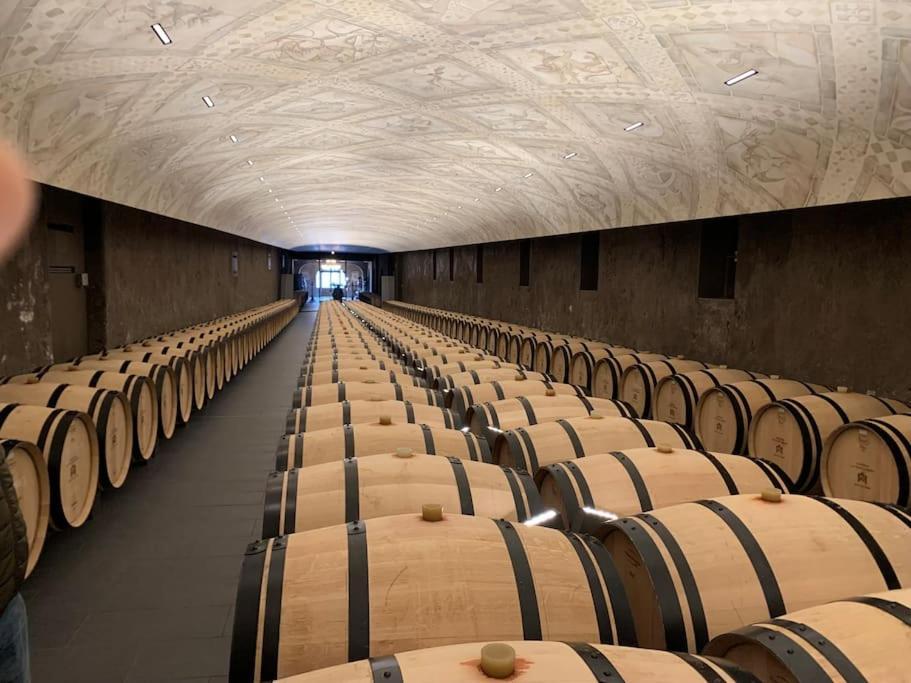 Studio Confortable Aux Portes De Bordeaux Et Medoc Ludon-Médoc Esterno foto
